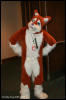 [AkitaInus MFF2006 044]