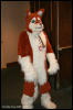 [AkitaInus MFF2006 045]