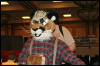 [AkitaInus MFF2006 051]