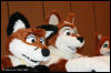 [AkitaInus MFF2006 054]