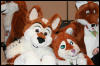 [AkitaInus MFF2006 055]