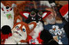 [AkitaInus MFF2006 062]