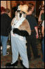 [AkitaInus MFF2006 070]