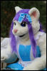 [AkitaInus MFF2006 079]