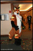 [AkitaInus MFF2006 081]