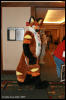 [AkitaInus MFF2006 084]