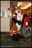 [AkitaInus MFF2006 085]