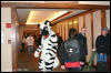 [AkitaInus MFF2006 089]