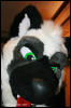 [AkitaInus MFF2006 090]