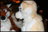 [AkitaInus MFF2006 128]