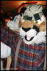 [AkitaInus MFF2006 130]