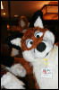 [AkitaInus MFF2006 134]