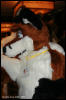 [AkitaInus MFF2006 136]