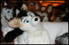 [AkitaInus MFF2006 137]