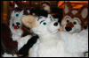 [AkitaInus MFF2006 138]