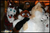 [AkitaInus MFF2006 139]