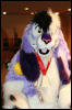 [AkitaInus MFF2006 140]