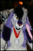 [AkitaInus MFF2006 145]