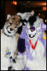 [AkitaInus MFF2006 146]