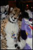 [AkitaInus MFF2006 148]