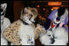 [AkitaInus MFF2006 150]