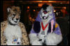 [AkitaInus MFF2006 151]