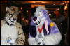 [AkitaInus MFF2006 152]