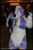 [AkitaInus MFF2006 153]