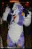 [AkitaInus MFF2006 154]