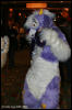 [AkitaInus MFF2006 155]