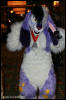 [AkitaInus MFF2006 156]