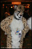 [AkitaInus MFF2006 157]