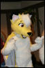 [AkitaInus MFF2006 191]