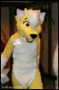 [AkitaInus MFF2006 192]