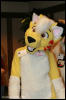 [AkitaInus MFF2006 193]