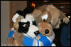 [AkitaInus MFF2006 202]