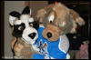 [AkitaInus MFF2006 203]