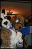 [AkitaInus MFF2006 204]