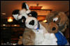 [AkitaInus MFF2006 206]