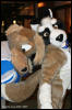 [AkitaInus MFF2006 207]