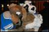 [AkitaInus MFF2006 208]