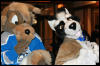 [AkitaInus MFF2006 209]