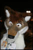 [AkitaInus MFF2006 211]