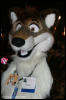 [AkitaInus MFF2006 212]