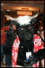 [AkitaInus MFF2006 214]