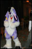 [AkitaInus MFF2006 268]