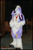 [AkitaInus MFF2006 269]