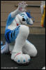 [AkitaInus MFF2006 275]