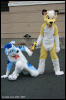 [AkitaInus MFF2006 279]