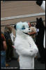 [AkitaInus MFF2006 286]